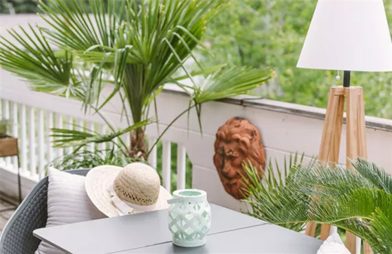 grüne palmen auf einem balkon