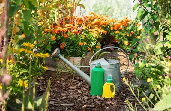 GS671872_Dünger - Flüssigdünger und Gießkanne_.jpg