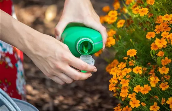 GS671882_Dünger - Universaldünger_.jpg