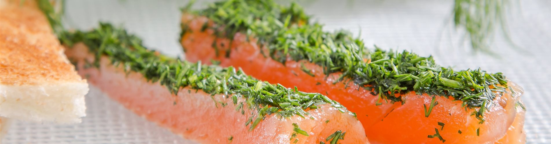 Dill_mmg-design-215-1185-1206-3502-2335