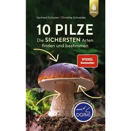 10 Pilze