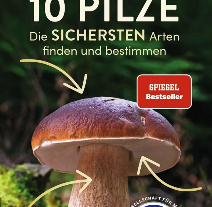 10 Pilze