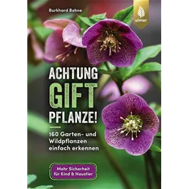 Achtung, Giftpflanze!