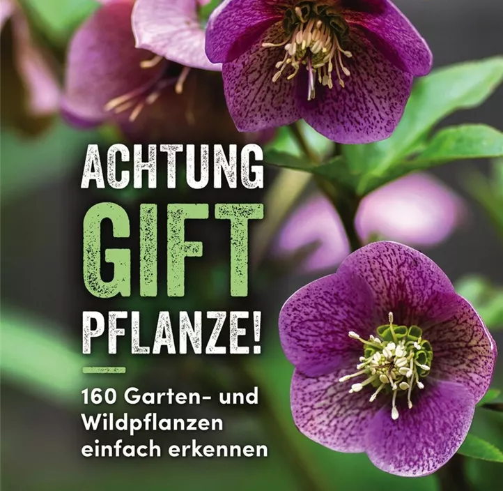 Achtung, Giftpflanze!