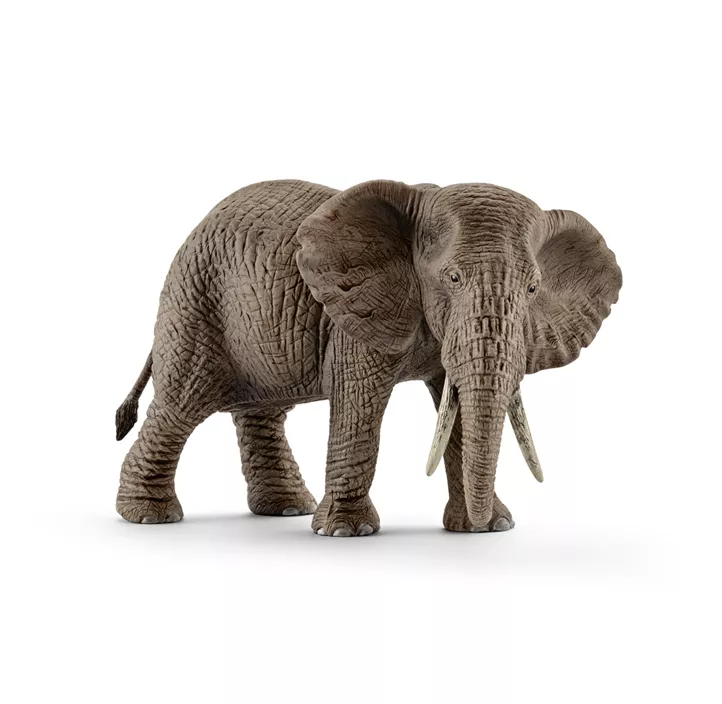 Afrikanische Elefantenkuh