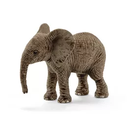 Afrikanisches Elefantenbaby