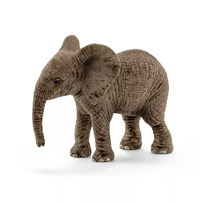 Afrikanisches Elefantenbaby