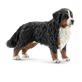 Berner Sennenhündin