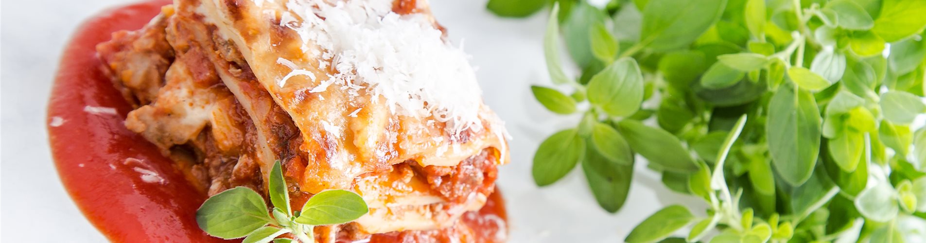 Oregano_kompakt_mmg-design-229-70-642-4235-2382