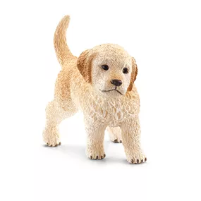 Golden Retriever Welpe