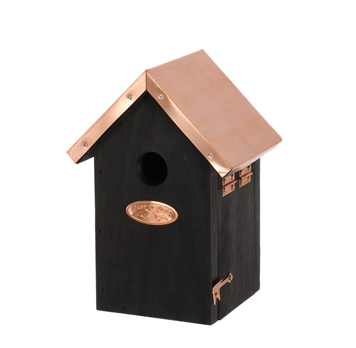 Nistkasten Zaunkönig