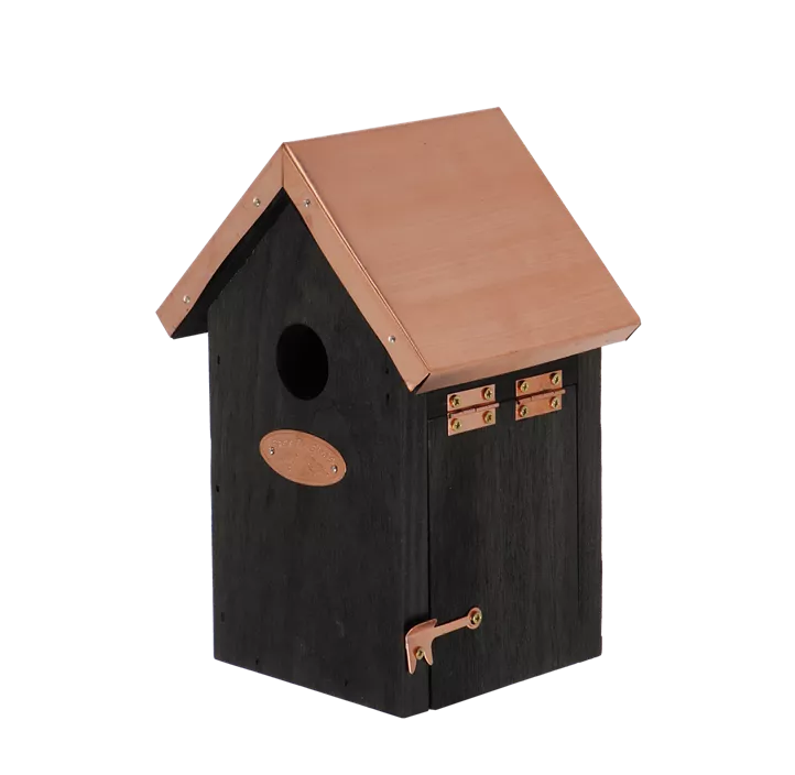 Nistkasten Zaunkönig