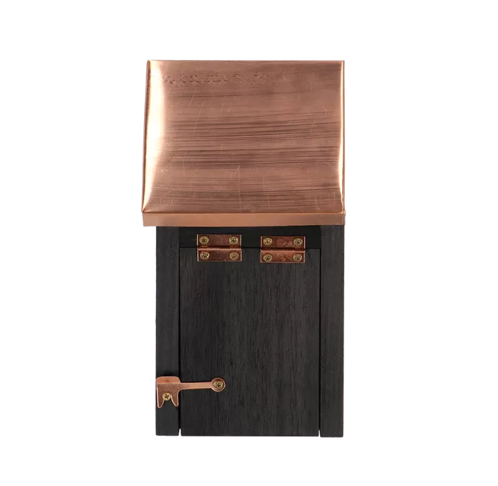 Nistkasten Zaunkönig