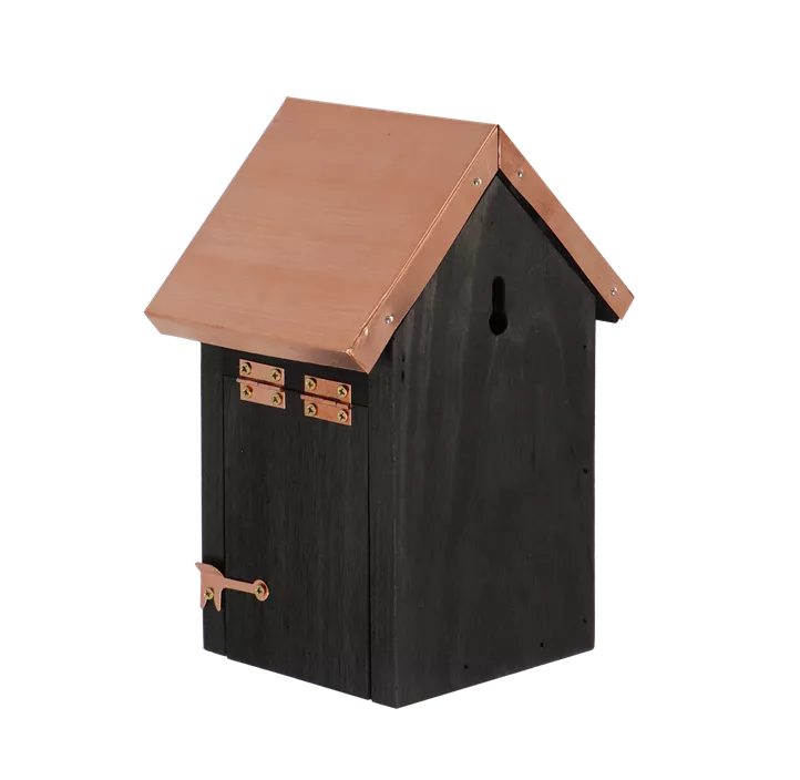 Nistkasten Zaunkönig