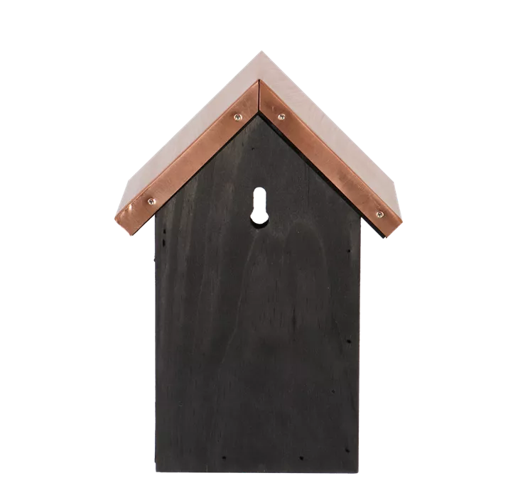 Nistkasten Zaunkönig