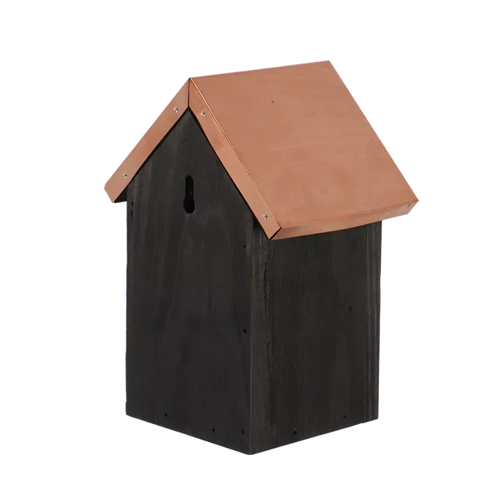 Nistkasten Zaunkönig