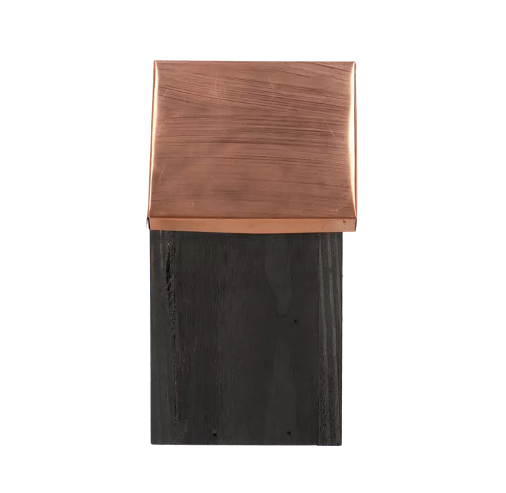 Nistkasten Zaunkönig