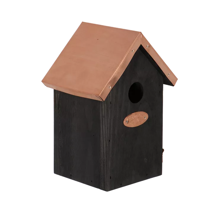 Nistkasten Zaunkönig