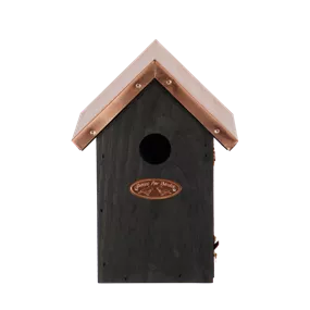 Nistkasten Zaunkönig