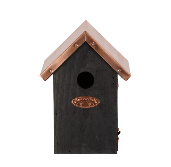 Nistkasten Zaunkönig