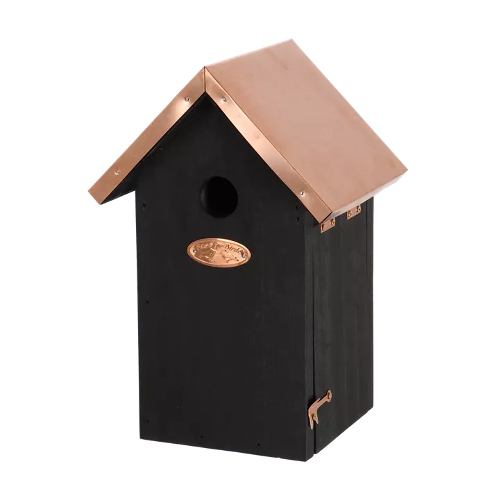 Nistkasten Blaumeise