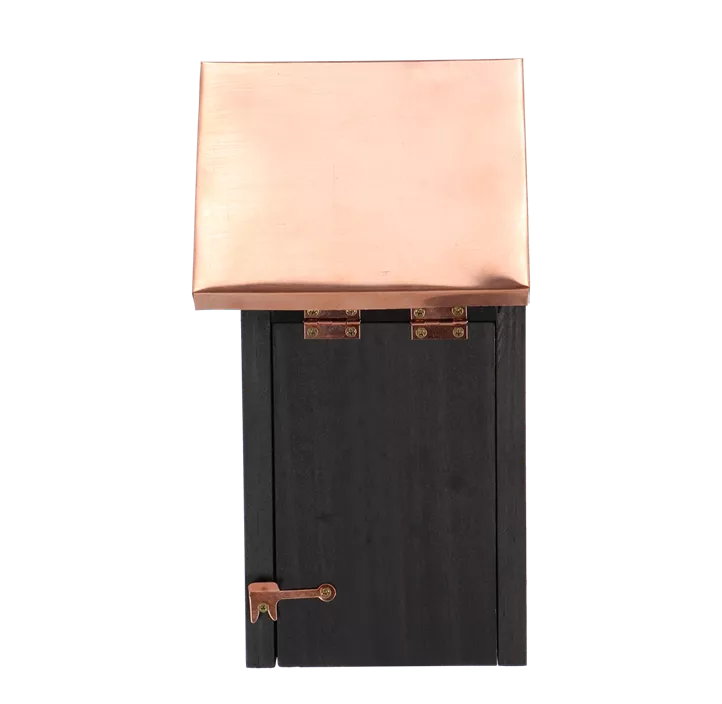 Nistkasten Blaumeise