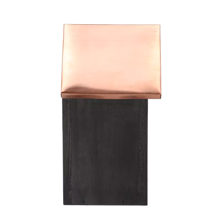 Nistkasten Blaumeise