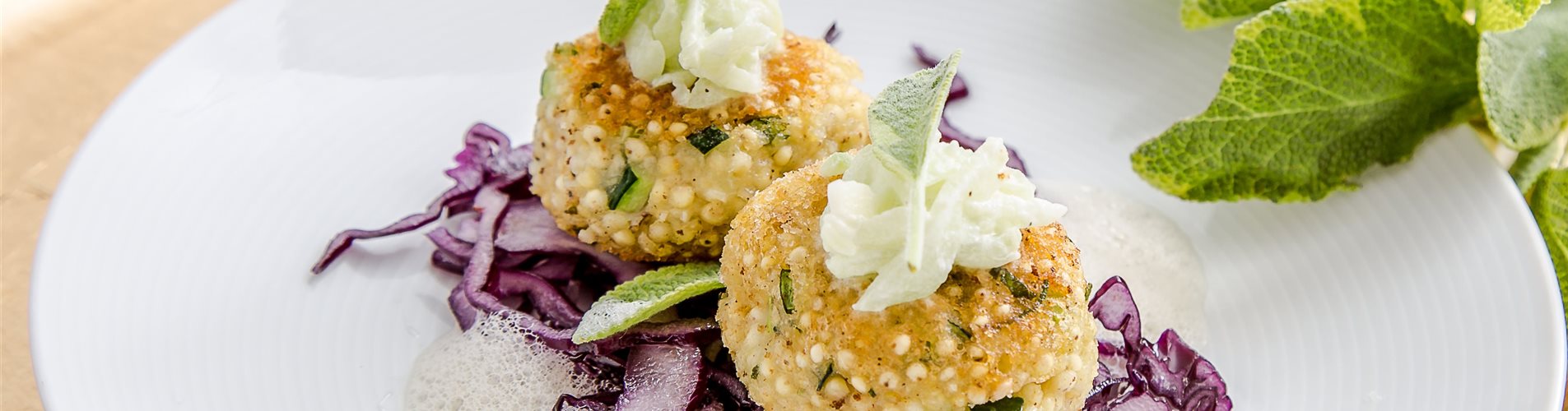 Goldsalbei_mmg-design-223-265-855-3856-2169