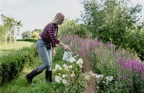 frau mit gießkanne am gießen