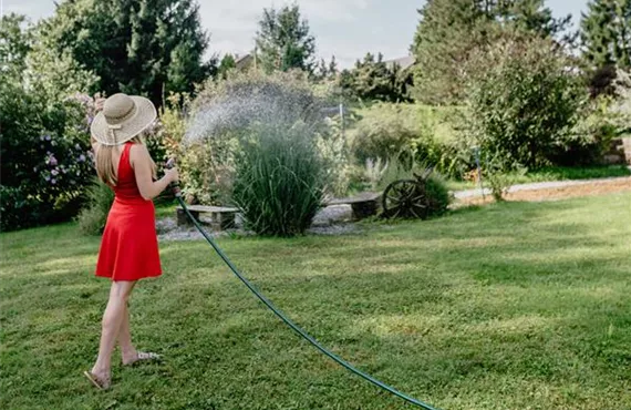 frau mit gartenschlauch beim gießen