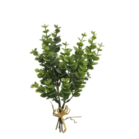 Eucalyptus Bund