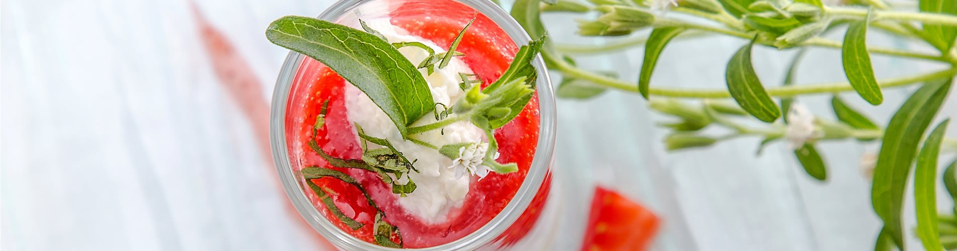 Stevia_suesskraut_mmg-design-228-1079-621-3596-2023