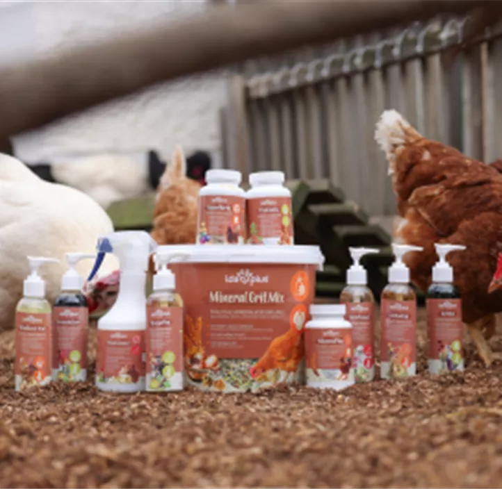 IdaPlus VitalBoost 4in1