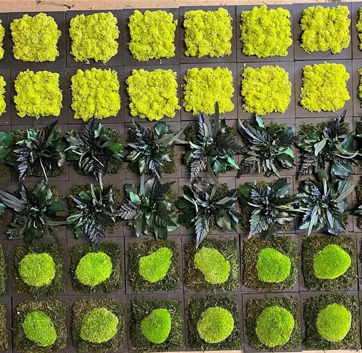 Moosbild ohne Rahmen 3erlei