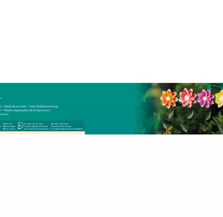 Solar Blumen, 4 Farben