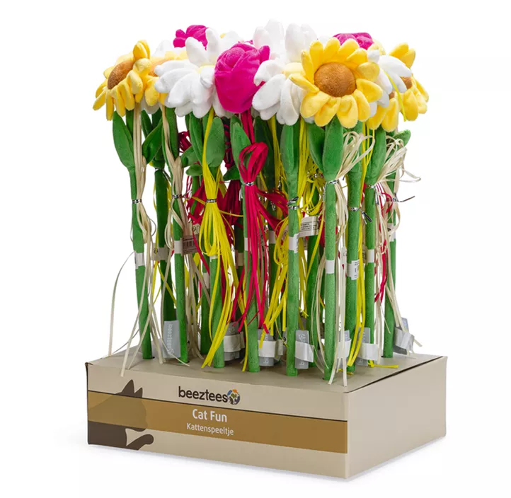 Katzenangel Frühlingsblume