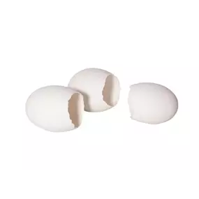 Gänse Ei offen 6er Box