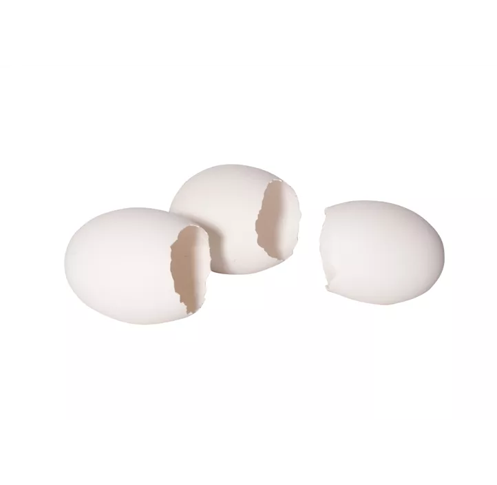 Gänse Ei offen 6er Box