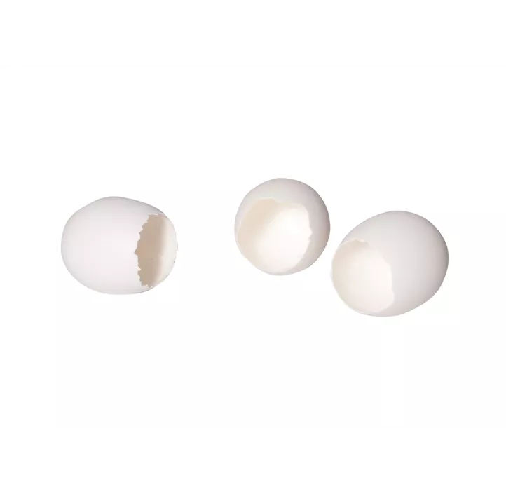 Hühner Ei offen 6er Box