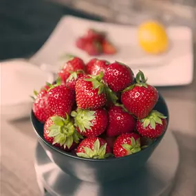 Fragaria ananassa Einmaltragend