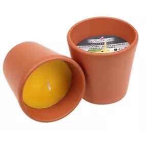 Terra-Topf Citronella