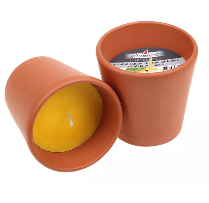 Terra-Topf Citronella