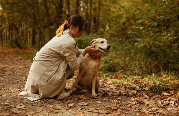 herbstspaziergang - gemütliche momente zuhause