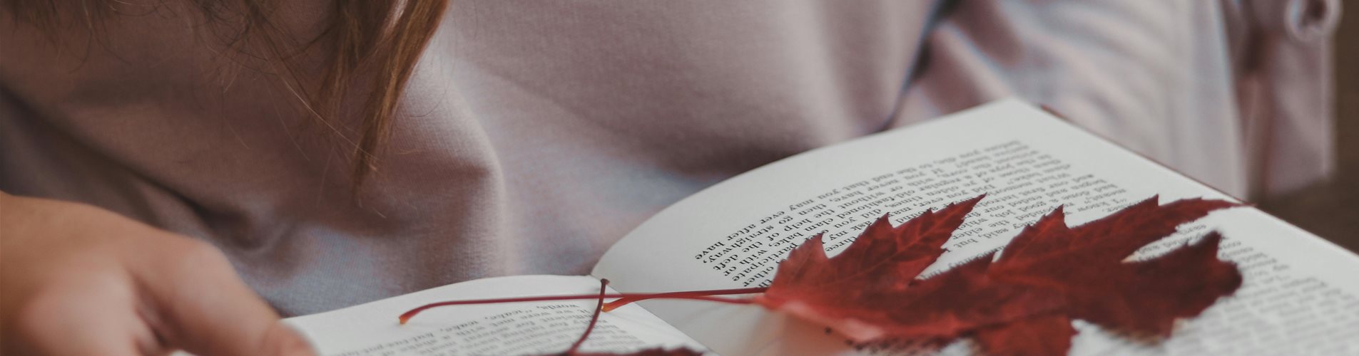 buch mit getrockneten blättern in händen - gemütliche momente zuhause