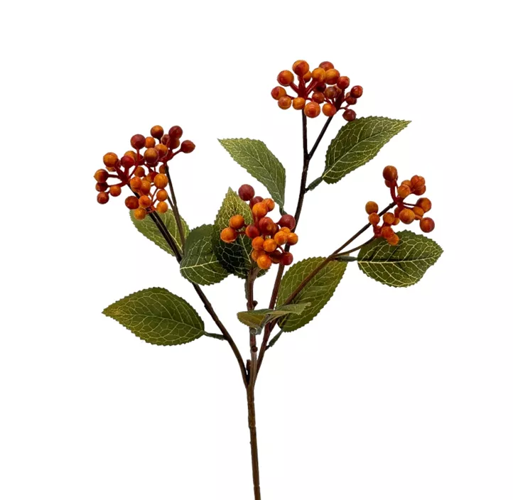 Beerenzweig