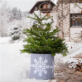 Deko-Filz-Topfschutz