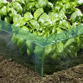 Schneckenbarriere PET