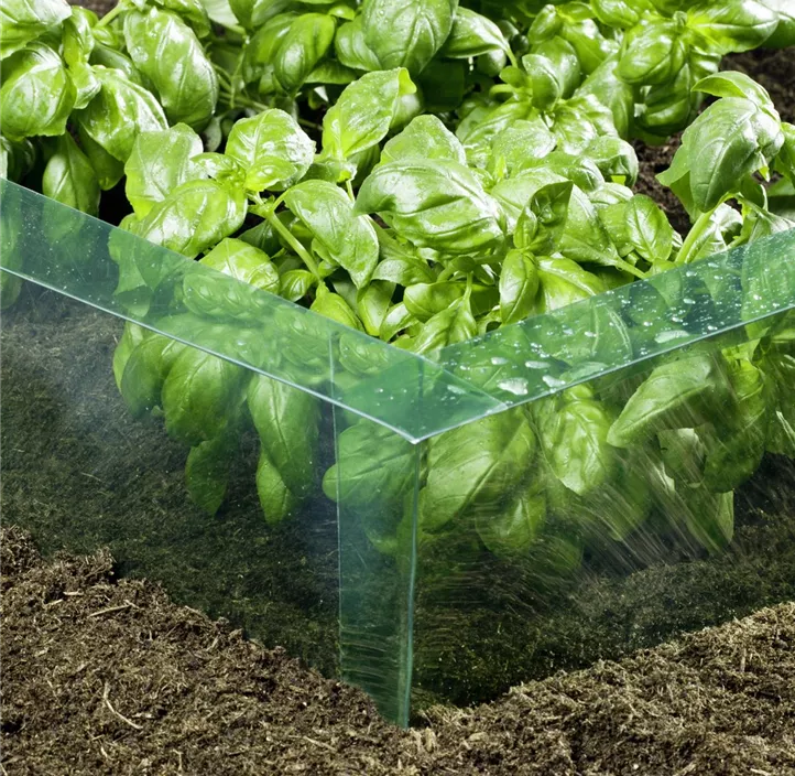 Schneckenbarriere PET