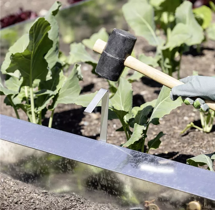 Schnecken-Zaun Bef.Klammer