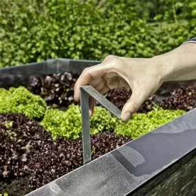 Schnecken-Zaun Bef.Klammer